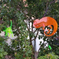 IMG_20200528_204043965